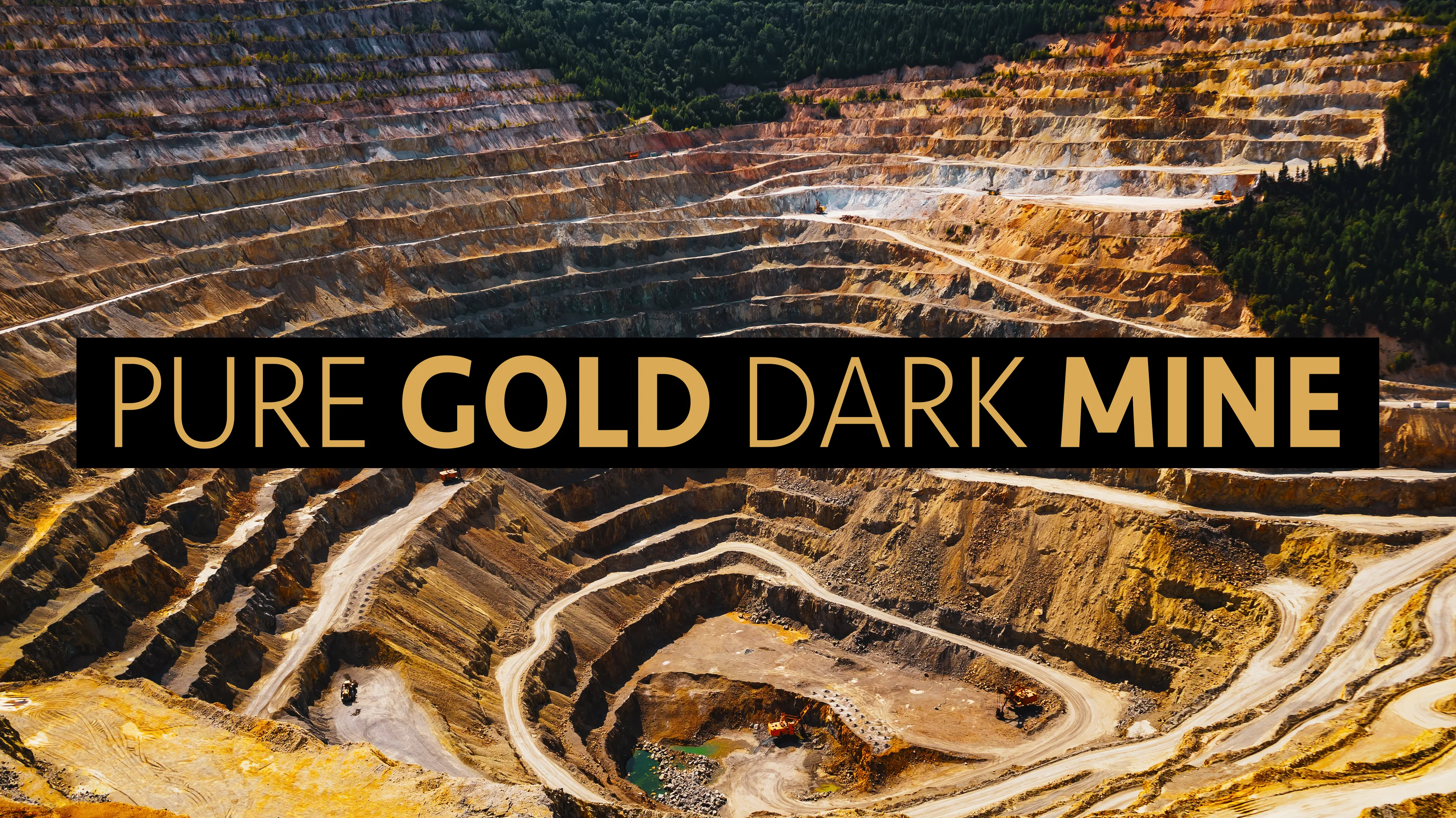 Pure Gold, Dark Mine poster